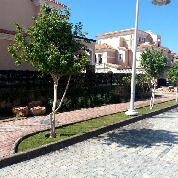 WhatsApp Image 2022-12-06 at 2.41.26 PM (1)